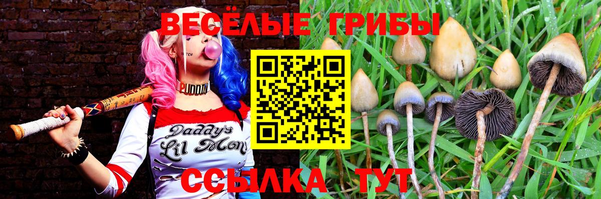 Галлюциногенные грибы MAGIC MUSHROOMS Алушта