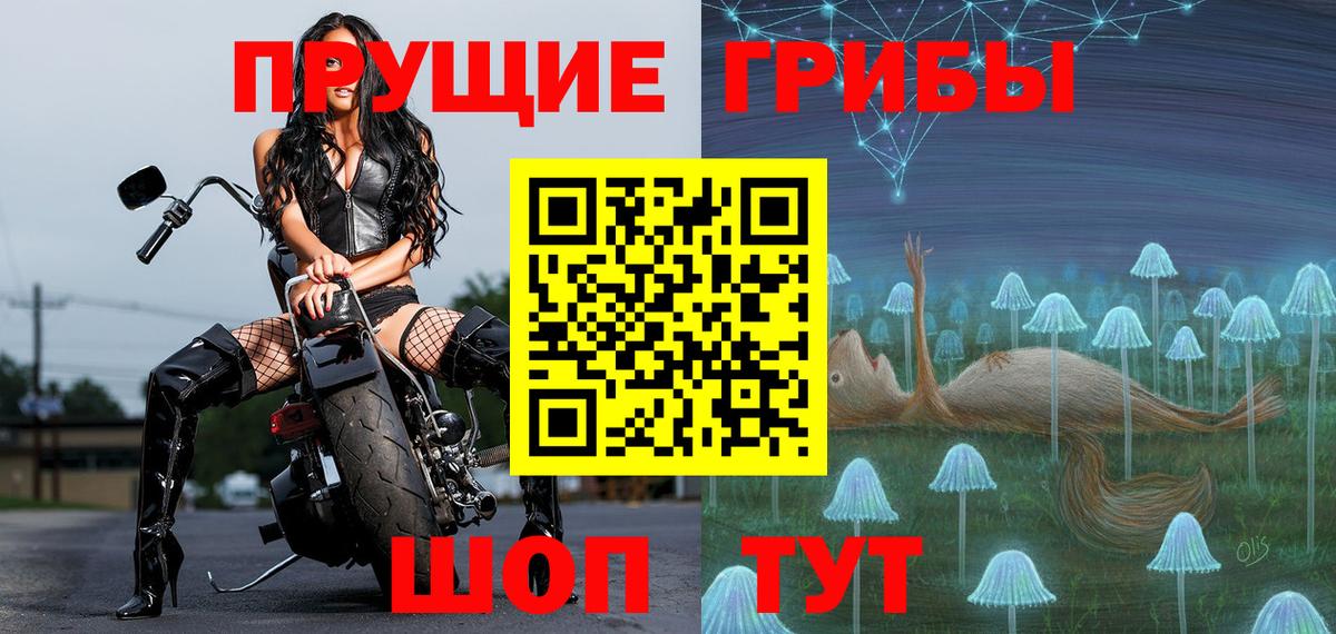 Псилоцибиновые грибы Cubensis  Вход с VPN  Алушта  закладка  Псилоцибиновые грибы GOLDEN TEACHER 